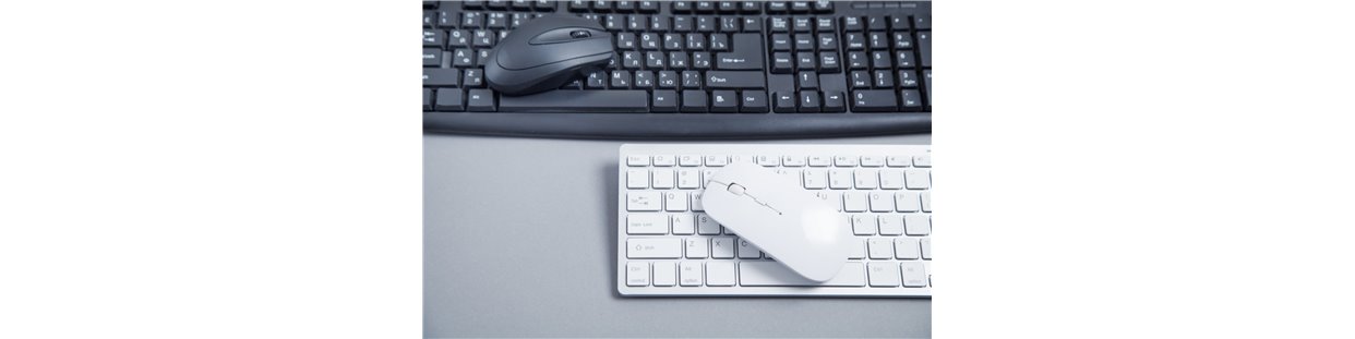Périphériques d'entrée : claviers, souris, touchpads et accessoires