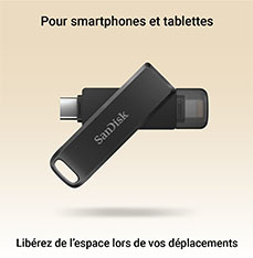 Clé USB Sandisk Type C