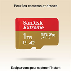 Sandisk extreme 1to